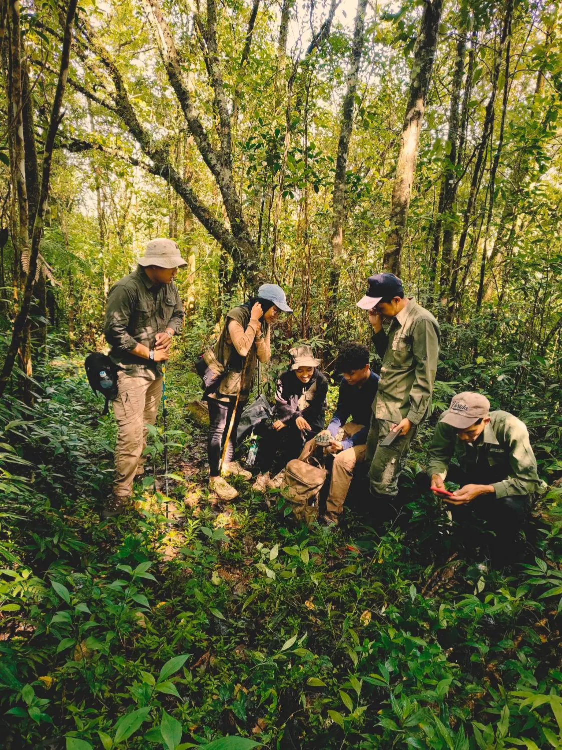 Tim lapangan memeriksa alat pemantau di hutan