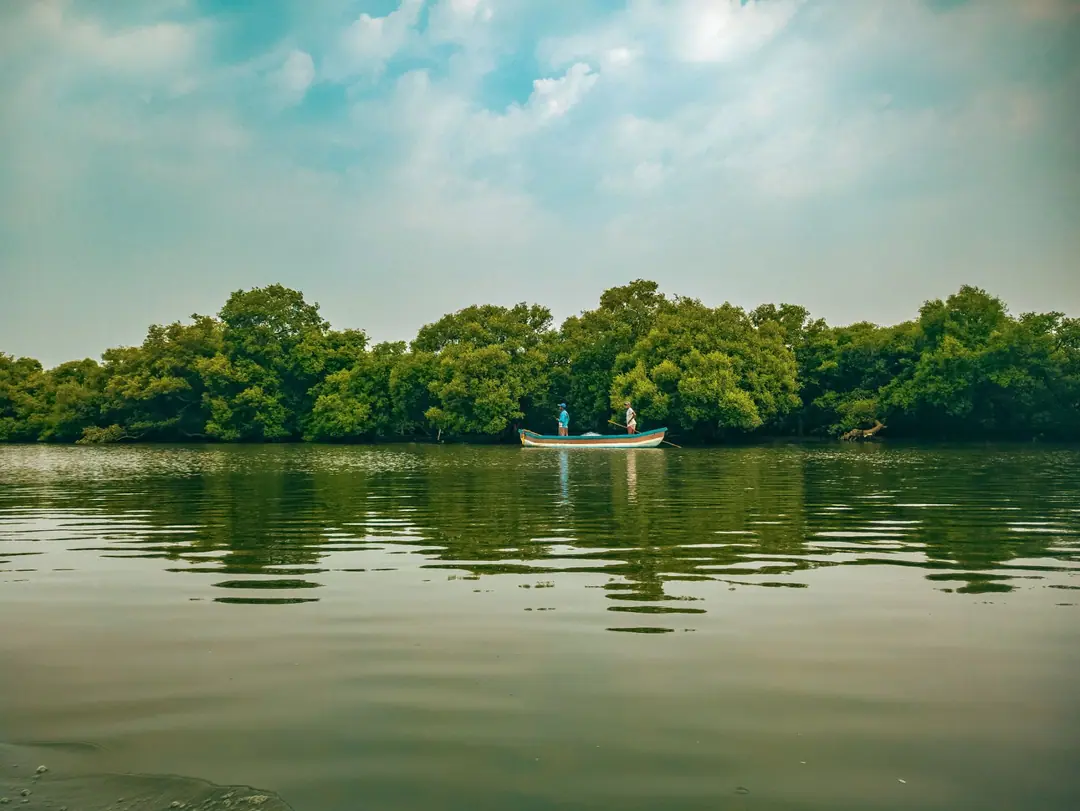 Hutan mangrove di tepi perairan dengan perahu nelayan