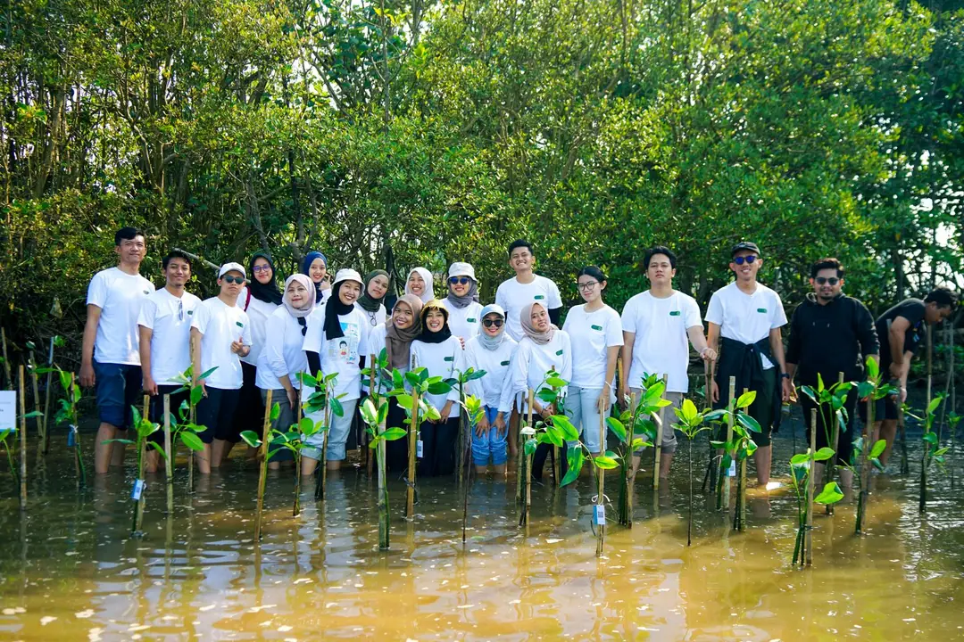 Tim di area penanaman mangrove